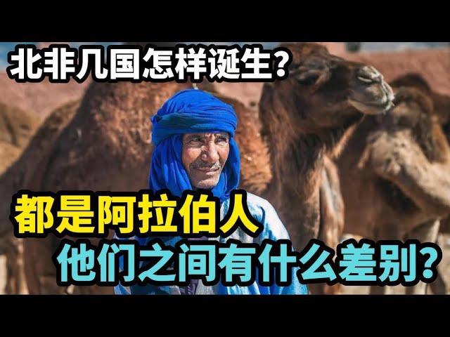 北非几国怎样诞生？都是阿拉伯人，他们之间有什么差别？