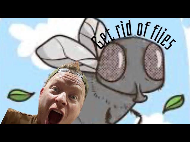 How to GET RID OF FLIES! 
