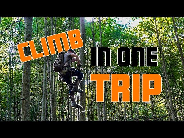 How to Climb the Tree in One Trip - Saddle Hunting Basics
