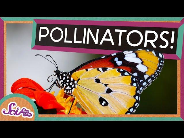 Flowers and Their Pollinators: A Perfect Match! | Spring is Here! | SciShow Kids