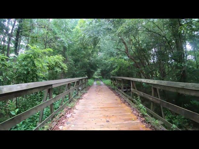 Virtual Treadmill Walk - 90 Minute Trail Walk - Palmetto Trail