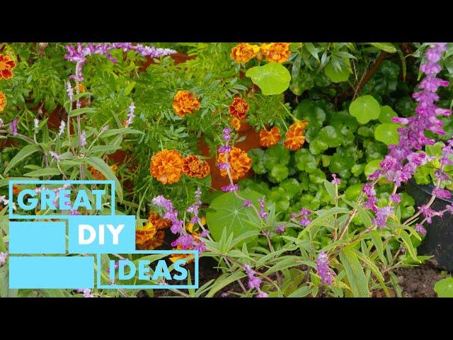 Mothers Day Backyard Makeover | DIY | Great Home Ideas