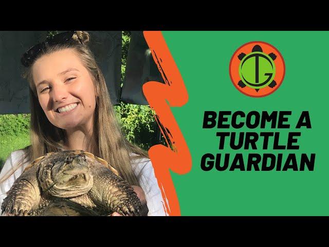 Become A Turtle Guardian | Turtle Guardians