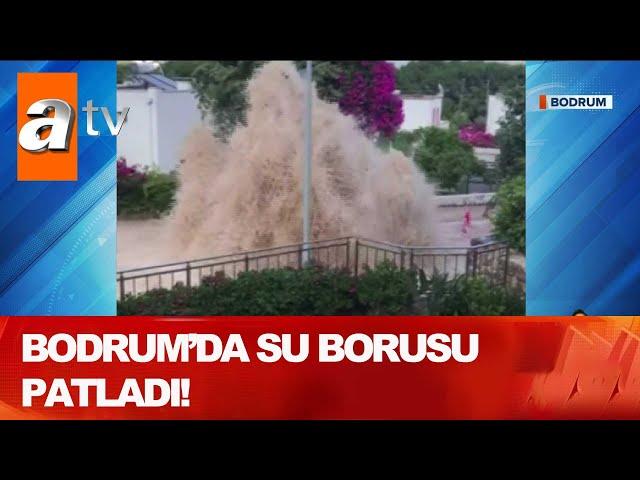 Bodrum'da rezillik!  - Atv Haber 21 Ağustos 2020