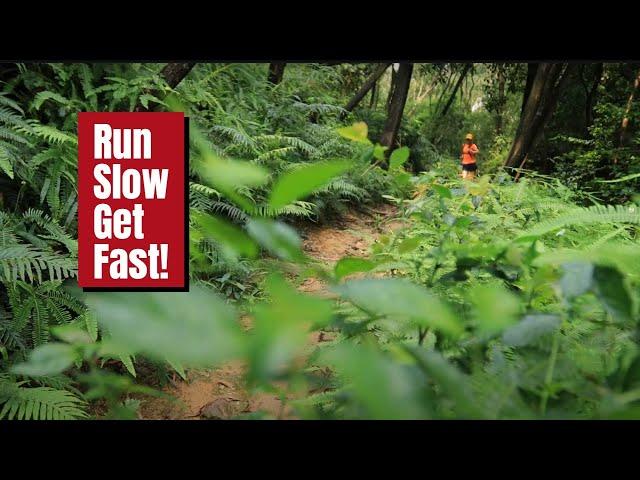 Your Guide to Running Slow: and Why It’s the Key to Getting Faster!