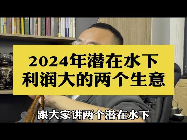 2024年潜在水下利润大的两个生意。做生意 商业思维 暴利行业 打工人 赚钱思维