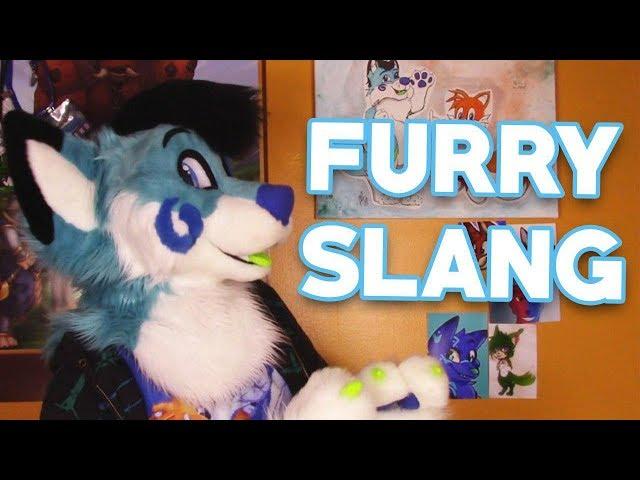 Furry Vocabulary, Slang and Lingo!