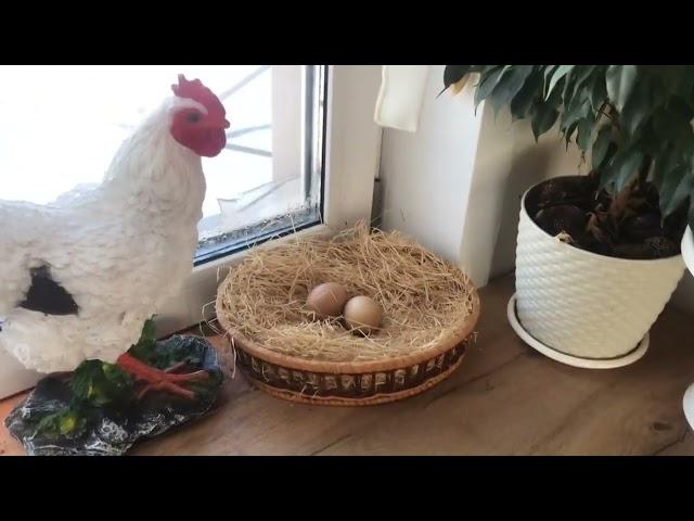 Обзор нашей уютной деревенской кухни.