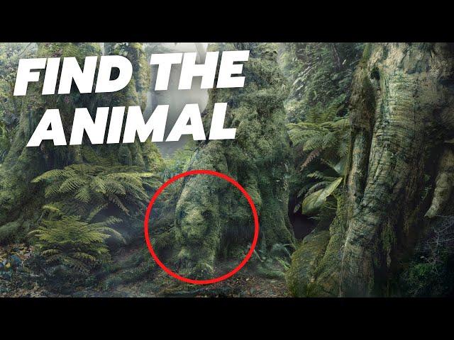Can you find all the hidden animals? - QUIZ