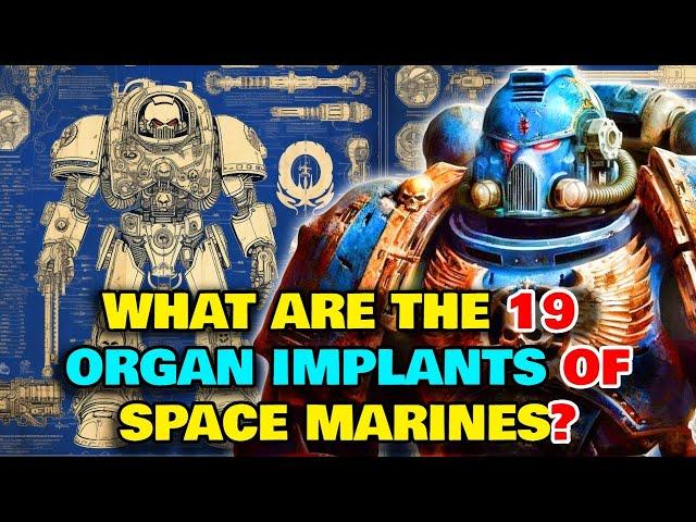 Space Marine Anatomy - What Are The 19 Implants That Every Space Marine Gets? What Is The Gene Seed?