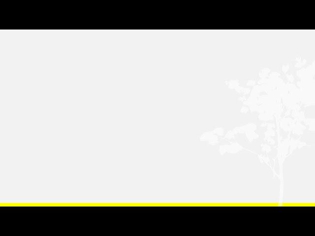 PARC Avaliação de Entrada - Procedimentos de aplicação - Cronograma 2