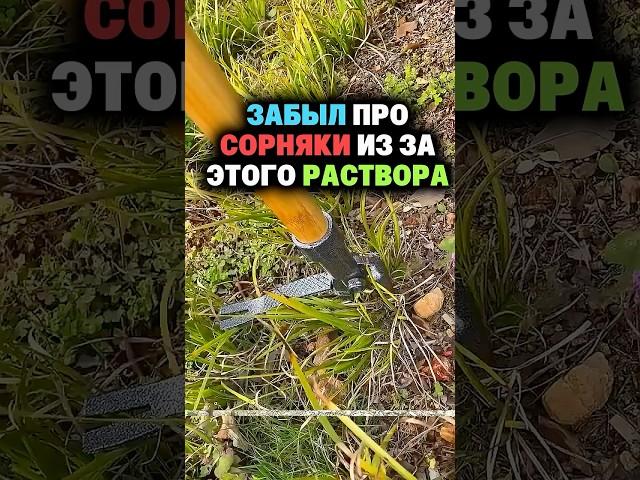 Забыл про сорняки из за этого раствора #сад #огород #дача #рассада #урожай #сорняки