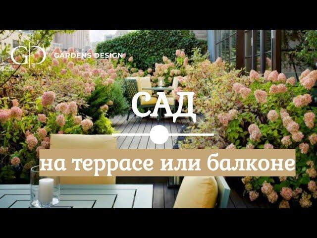 Как сделать  сад на крыше? Вариант сада на балконе-террасе.
