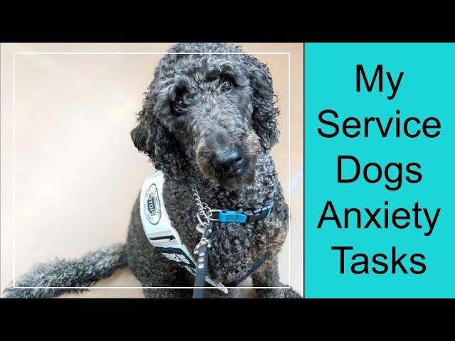 My Service Dogs Tasks For Anxiety