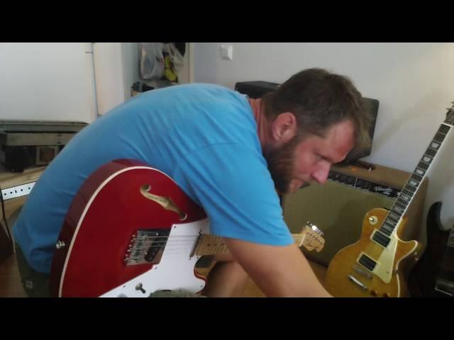 Laney LC30  modded by zvenamp