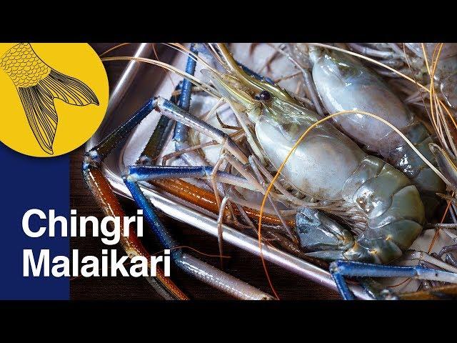 Chingri Malaikari Recipe—Bengali Prawn Malai Curry—Bengali Prawn Curry—Noboborsho Special