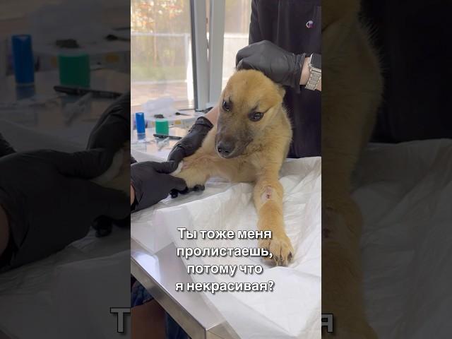 Ты тоже пролистаешь потому что я не красивая ?