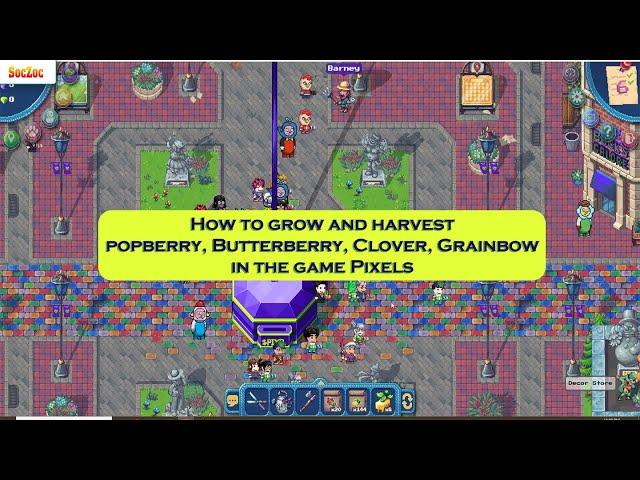 How to grow and harvest popberry, Butterberry, Clover, Grainbow in the game Pixels