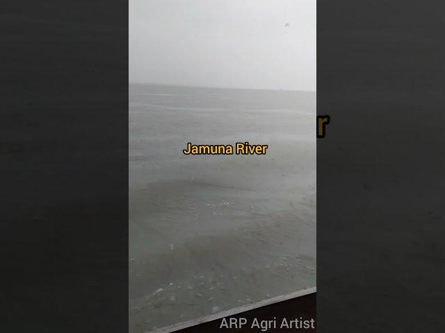 Jamuna River Tour | Journey by boat @arpagriartist