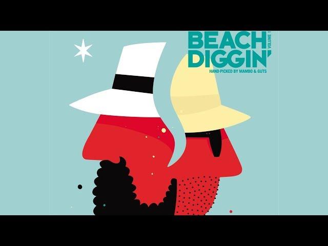 DJ Damage - Beach Diggin' Continuous Mix