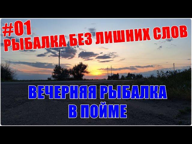 Рыбалка без лишних слов #01. Вечерняя рыбалка в Волго-Ахтубинской пойме
