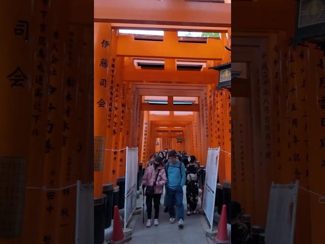 Fushimi Inari Taisha Shrine #kyoto #japan