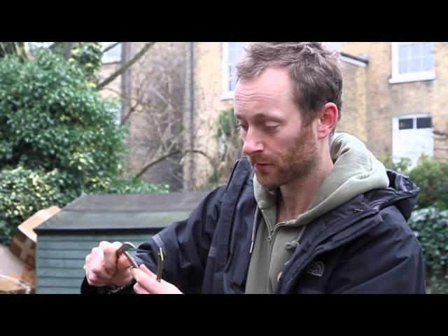 Grafting Apple Trees - The Orchard Project