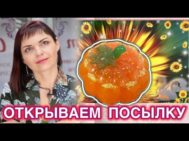 ОТКРЫВАЕМ ПОСЫЛКУСАМОЦВЕТИКИ ТВБусыБраслетыМассажные палочкиСержечкиСувенирыЛеди Самоцвет