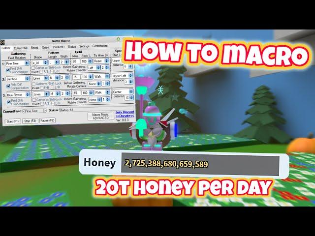 How to Macro in Bee Swarm Simulator with Natro Macro