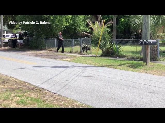 Daytona Beach police work two shooting scenes on Monday