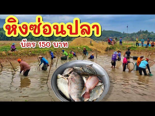 ซ้อนปลา บัตร 150 บาท ►Fishing lifestyle Ep.785