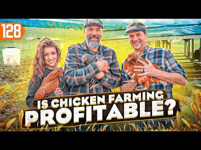 How to Start a Chicken Farm (and Make Millions)