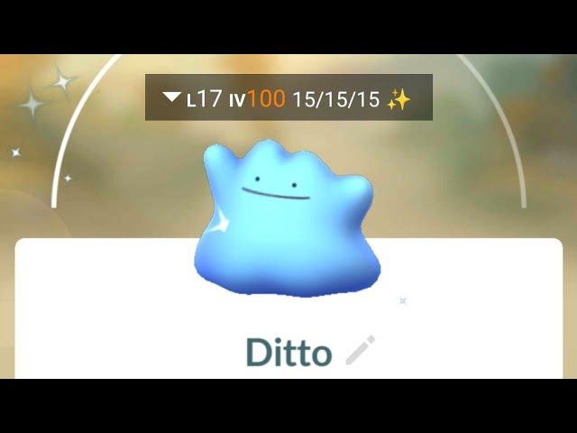 Shundo Ditto Pgsharp Pokemon Go 100 iv ShinyDitto