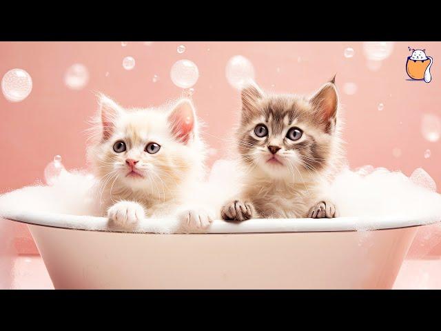 RELAXING CAT MUSIC and kittens | Sleep Music For Cats | Sleepy Cat
