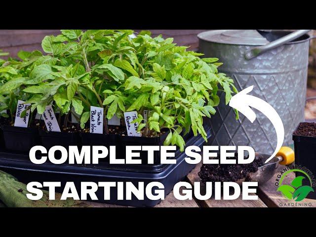 How to Start Seeds Indoors Easy: A Complete Beginner's Guide