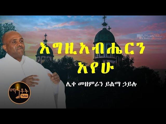 "እግዚአብሔርን አየሁ"| "Egziabheren Ayehu"  ሊቀ መዘምራን  ይልማ ኅይሉ Like Mezemeran Yilma Hailu