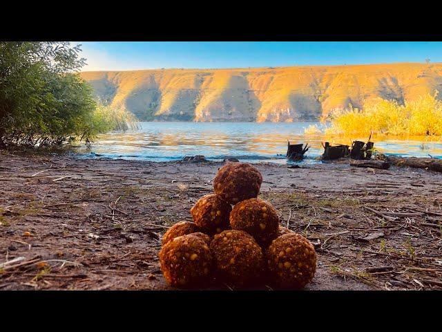 Клюёт как Шальная на Самую простую снасть! Рыбалка на резинку. Костица в томатном соку
