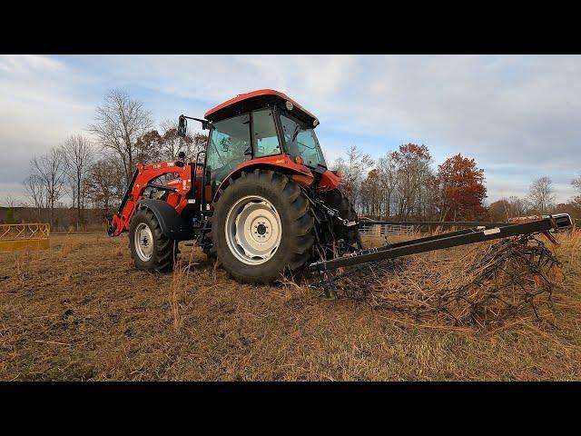 Regenerative farming How to renovate pasture without chemicals!