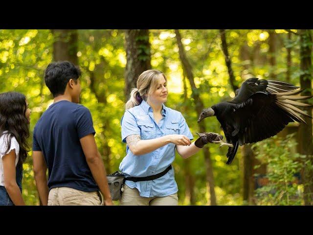 Reach new heights at the Carolina Raptor Center