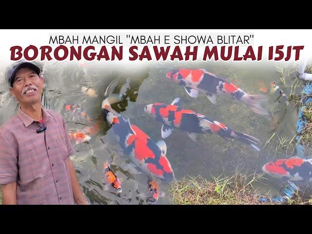 Segini Harga Borong Kolam Showa Mbah Mangil Blitar