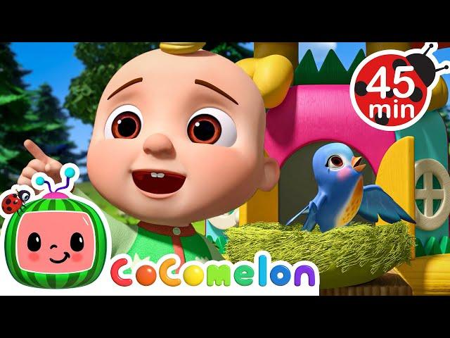 Hickory Dickory Dock! Sing Little Birdie!  | Cocomelon Animal Time - Nursery Rhymes