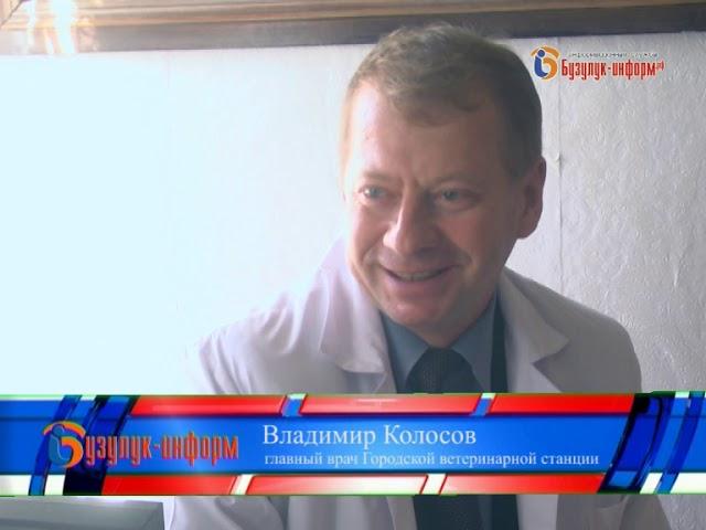 Усатые, хвостатые, полосатые!