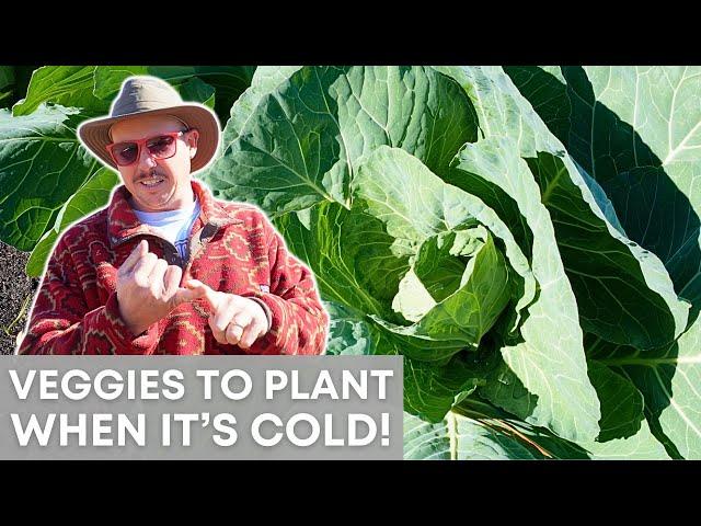 What Can You Plant Right Now? Winter Growing Tips