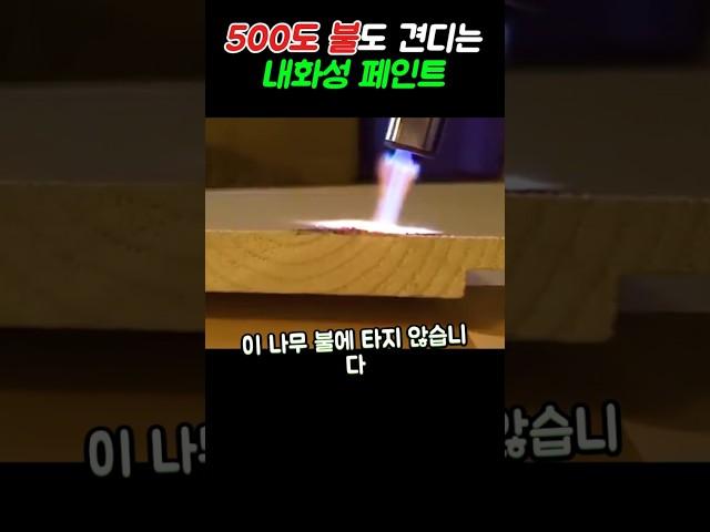 불이 나도 안 타는 나무? 비밀은 이 투명 페인트