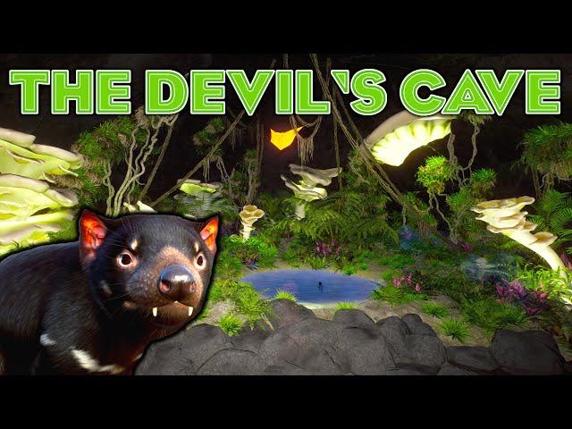 Tasmanian Devil Den! - Mataaho Island