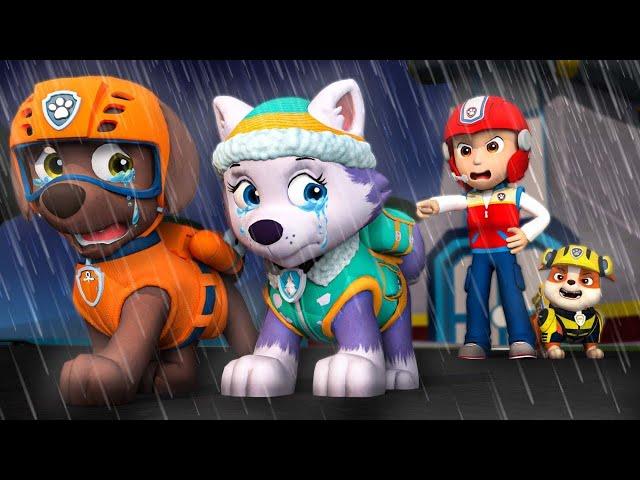 ZUMA, don't run away from home! Please don't leave us || Paw Patrol 3D Animation