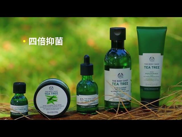 THE BODY SHOP防疫抗菌系列｜天然茶樹系列