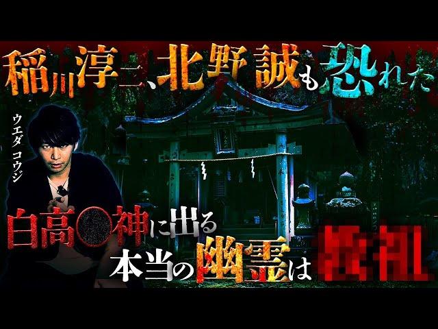 【※閲覧注意】稲川淳二も知らない本当の怨霊…有名廃神社に潜む集団●●