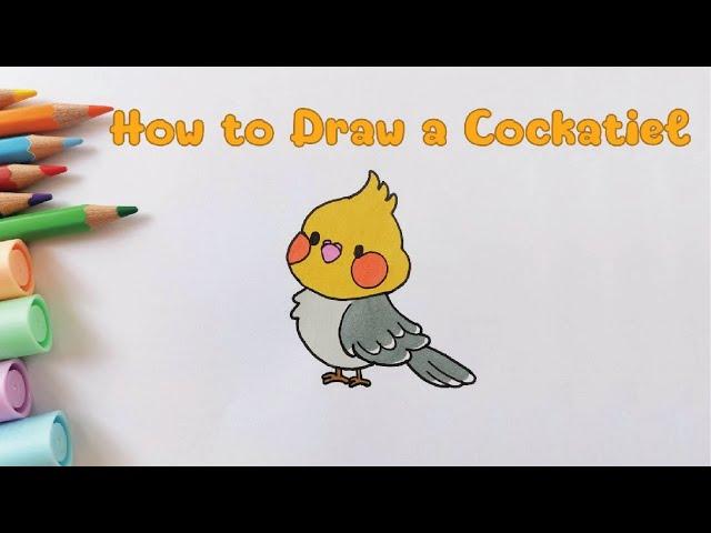 How To Draw A Cartoon Cockatiel Easy | Bird Drawing For Beginners || How to Draw Bird Step By Step