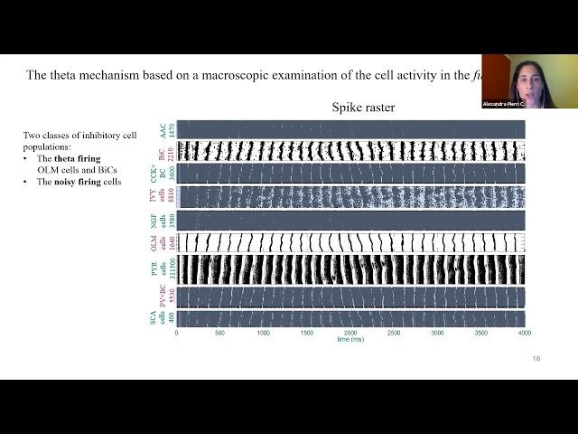 Talk: On the generation of theta rhythms and theta-gamma phase amplitude coupling.